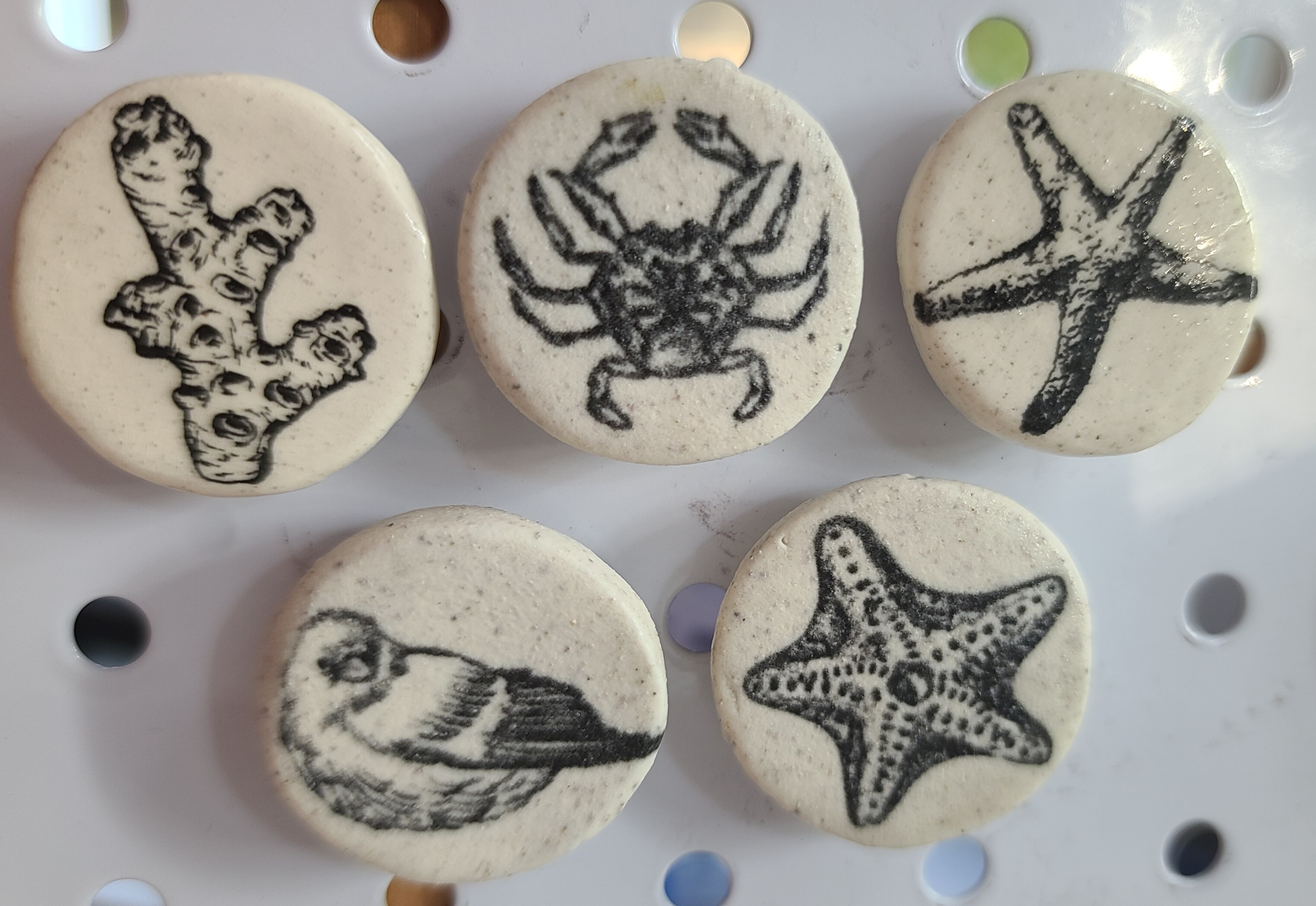 Black & White Magnets